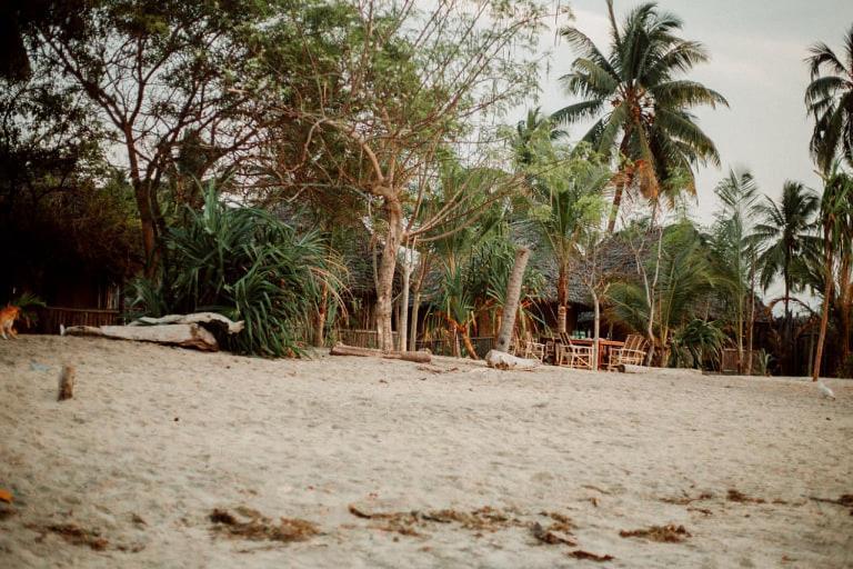 Ushongo Beach Bandas Pangani Zewnętrze zdjęcie
