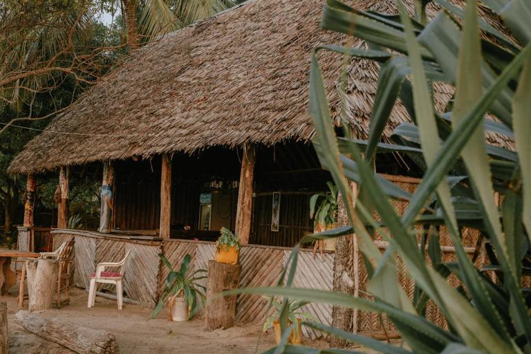Ushongo Beach Bandas Pangani Zewnętrze zdjęcie